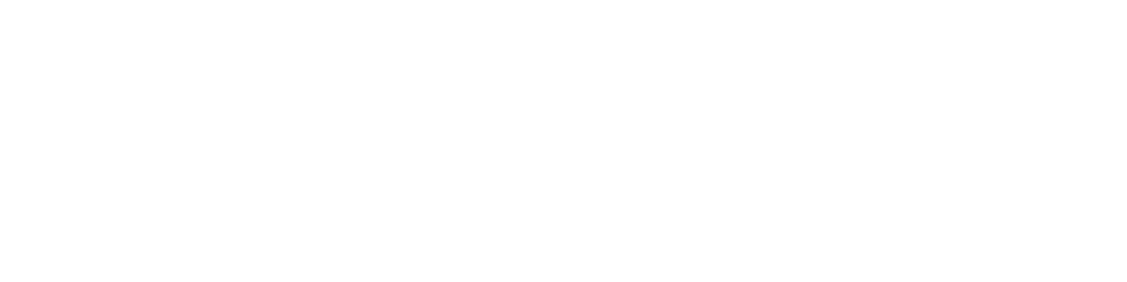 visolve Logo-Neg2 (1)